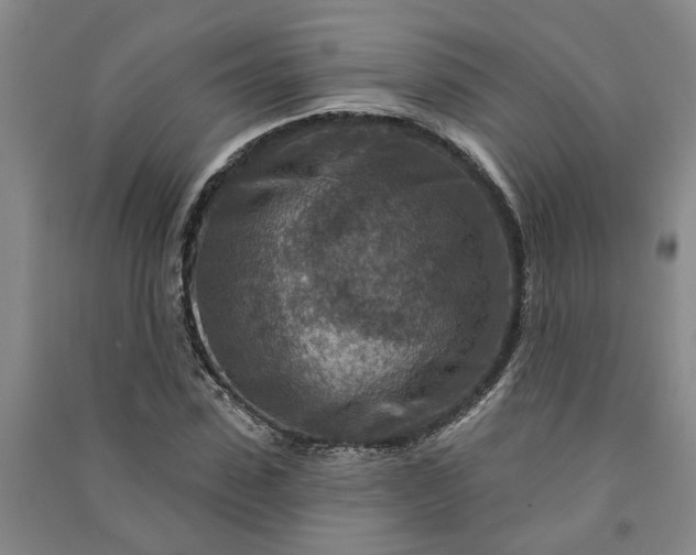 X0000090950923200708161753