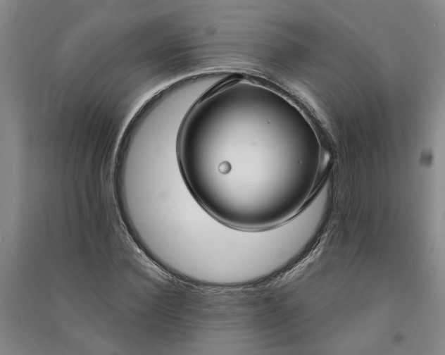 X0000090950924200708161753
