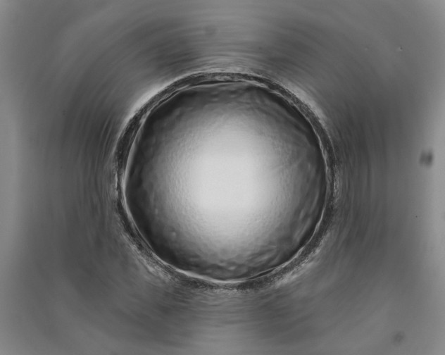 X0000090950925200708161753