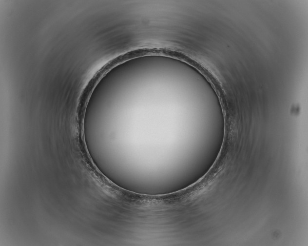 X0000090950927200708161753