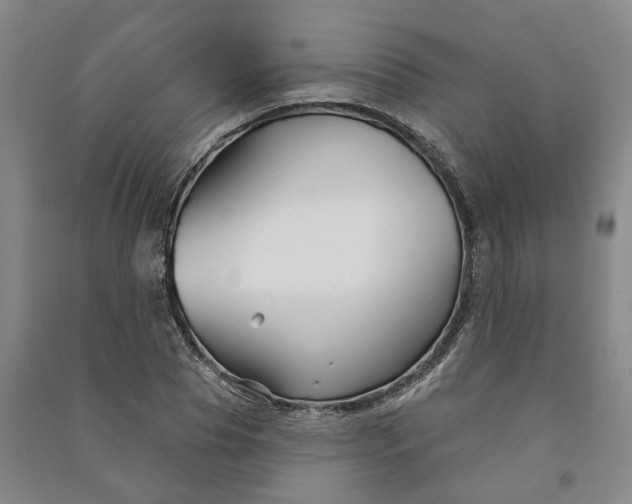 X0000090950929200708161753