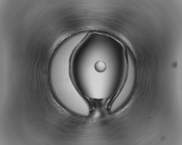 X0000090950930200708161753