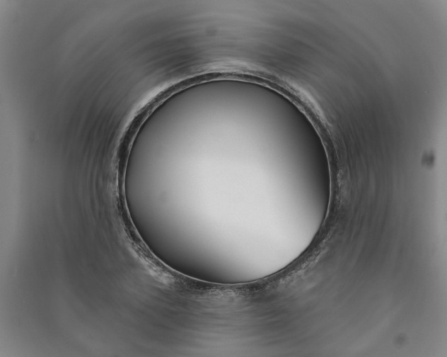 X0000090950931200708161753