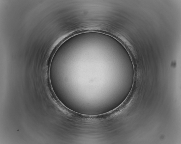 X0000090950933200708161753
