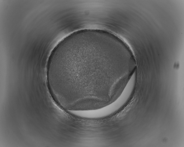 X0000090950935200708161753