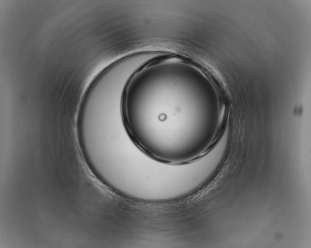 X0000090950936200708161753
