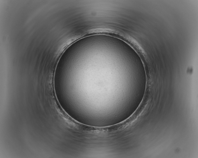 X0000090950937200708161753