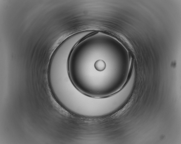 X0000090950938200708161753