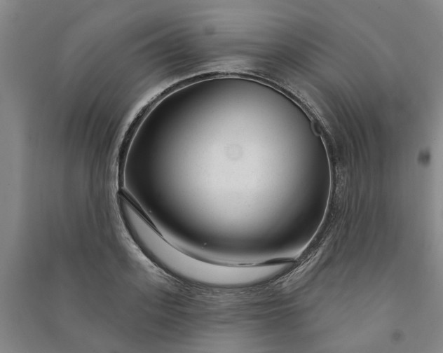 X0000090950939200708161753