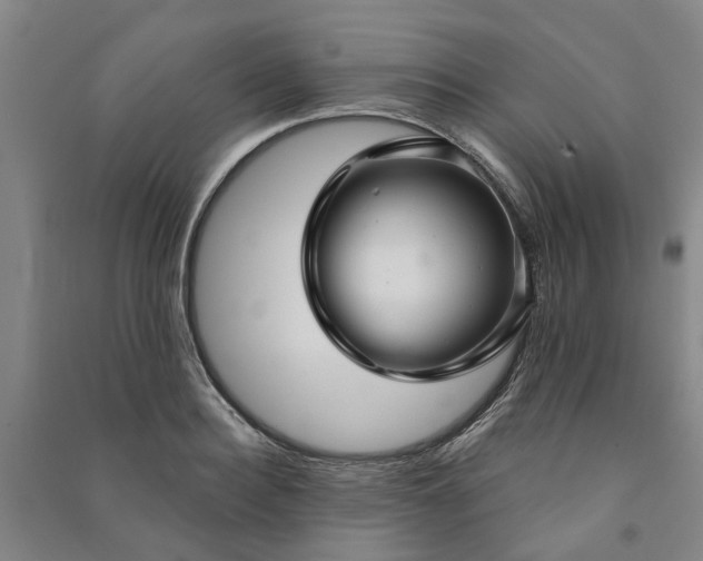 X0000090950940200708161753
