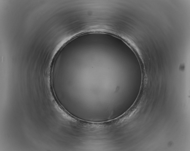 X0000090950941200708161753