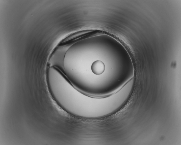 X0000090950942200708161753