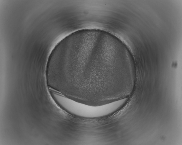 X0000090950943200708161753