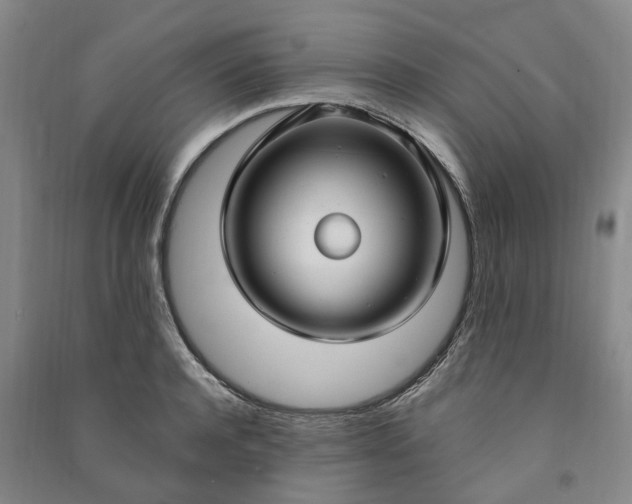 X0000090950944200708161753