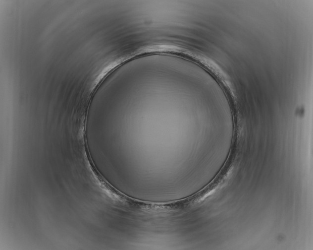 X0000090950945200708161753