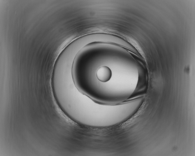 X0000090950946200708161753