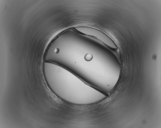 X0000090950948200708161753