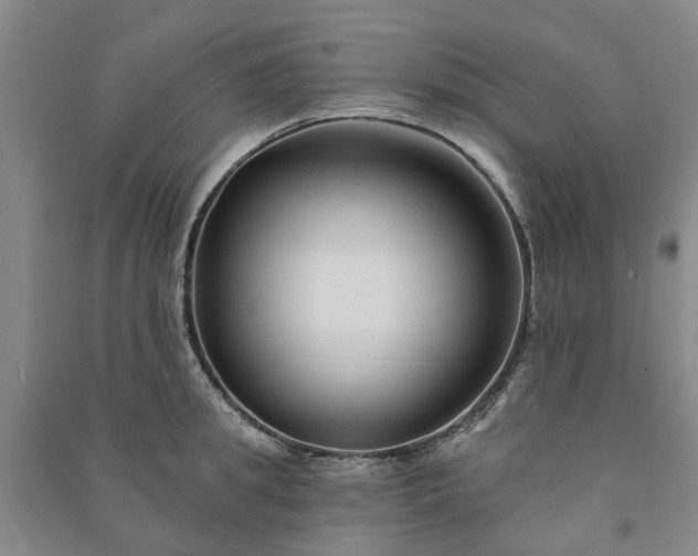 X0000090950949200708161753