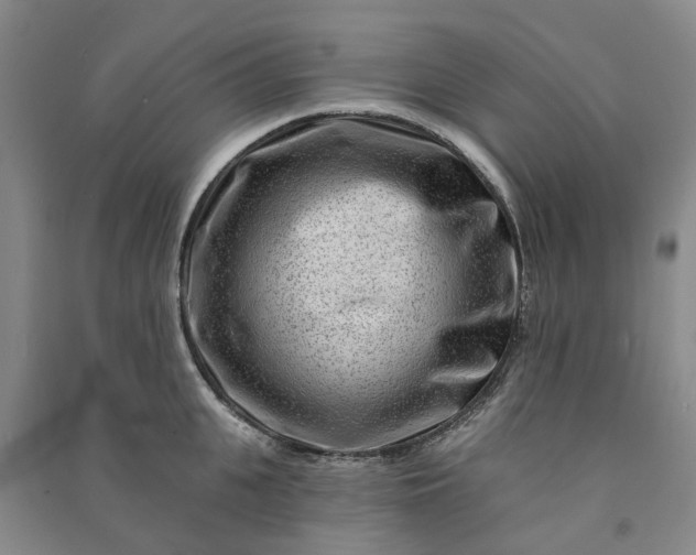 X0000090950951200708161753