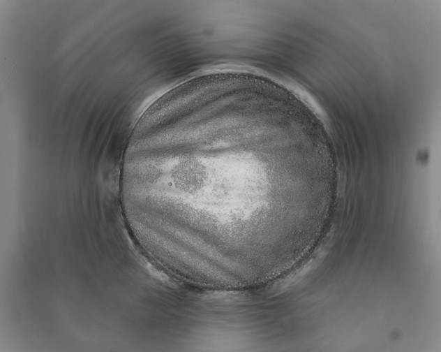 X0000090950953200708161753