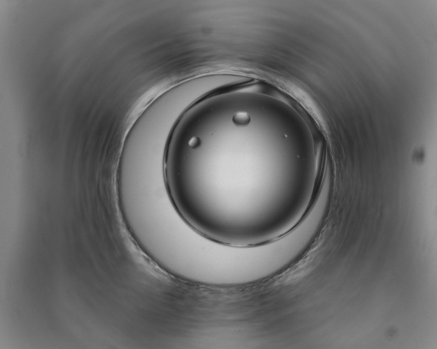 X0000090950954200708161753