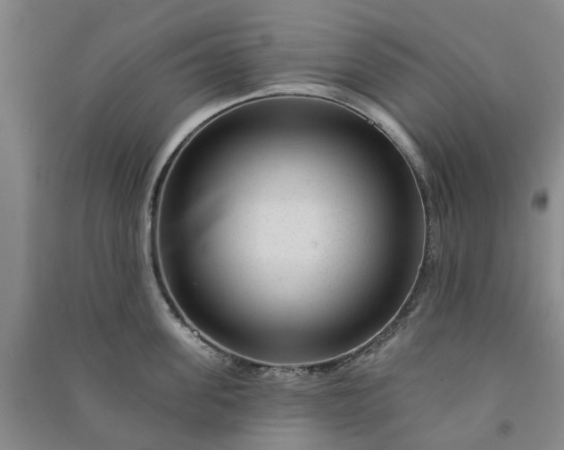 X0000090950955200708161753