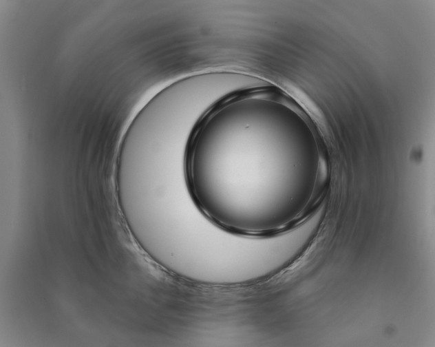 X0000090950956200708161753