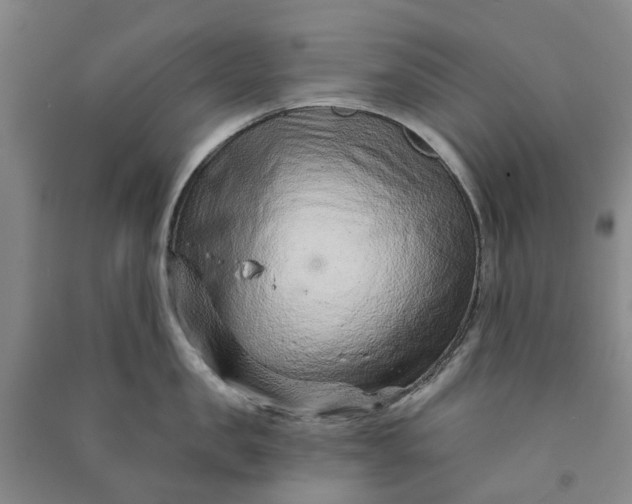 X0000090950957200708161753