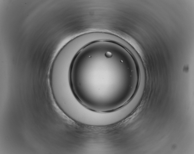 X0000090950958200708161753