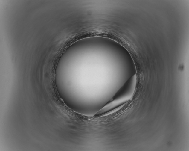 X0000090950961200708161753