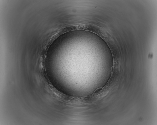 X0000090950962200708161753