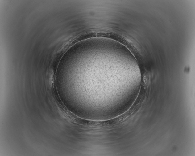 X0000090950963200708161753