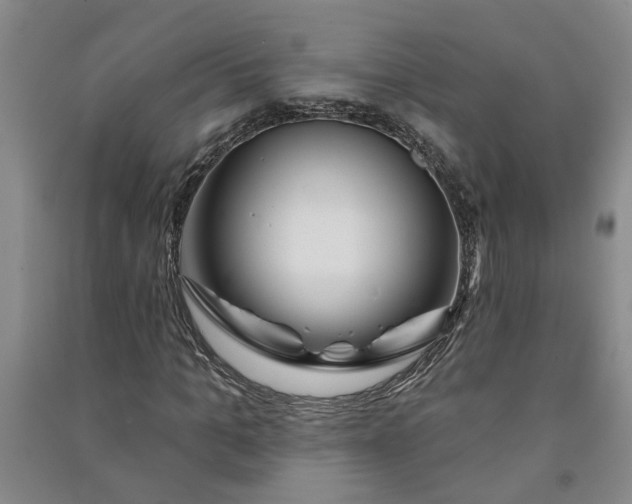 X0000090950965200708161753