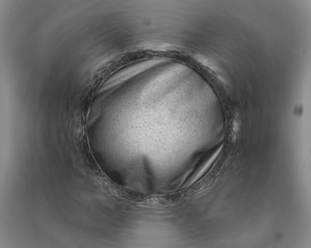 X0000090950966200708161753