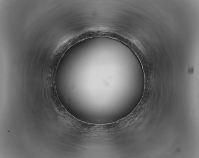 X0000090950967200708161753