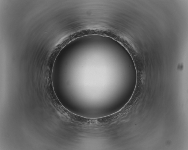 X0000090950968200708161753
