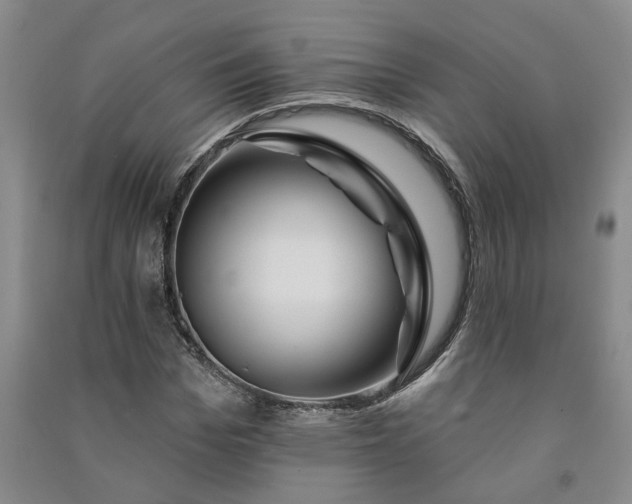 X0000090950969200708161753