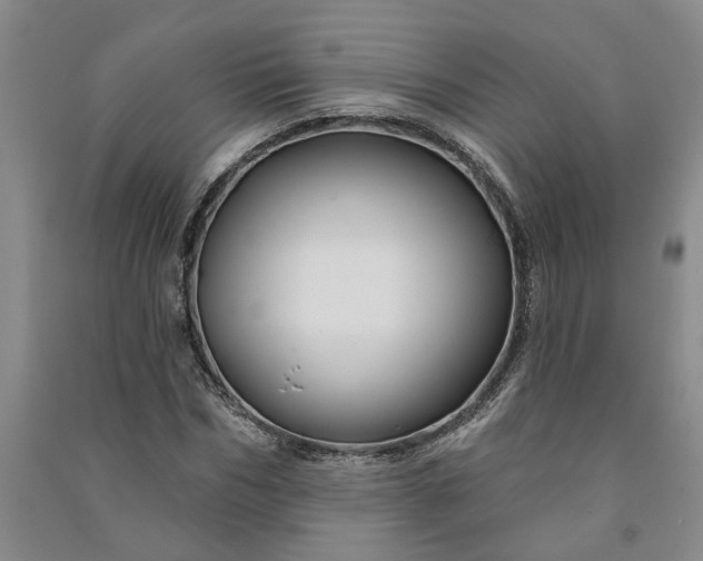 X0000090950970200708161753
