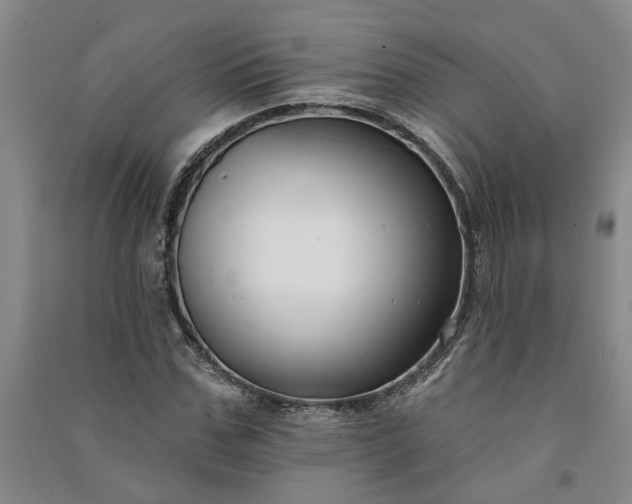 X0000090950971200708161753