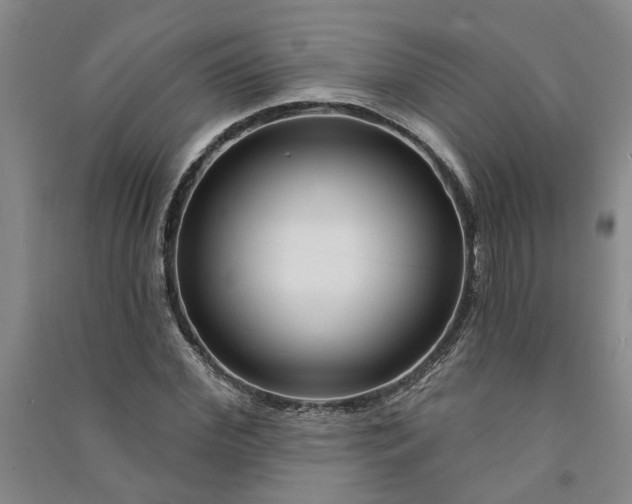 X0000090950972200708161753