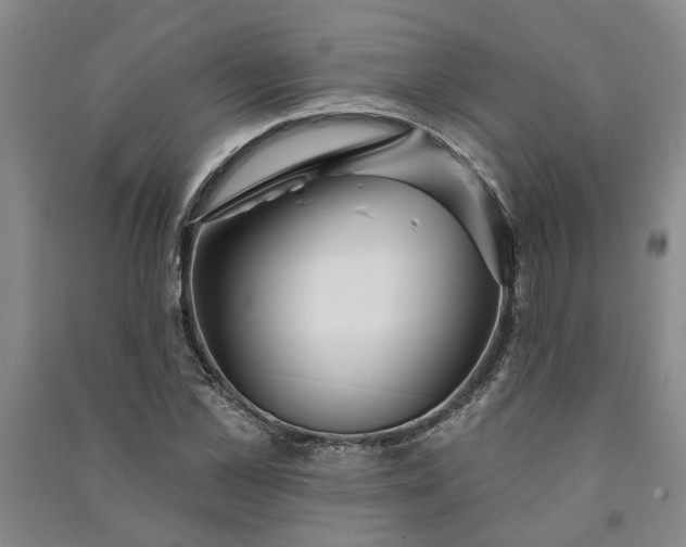 X0000090950973200708161752