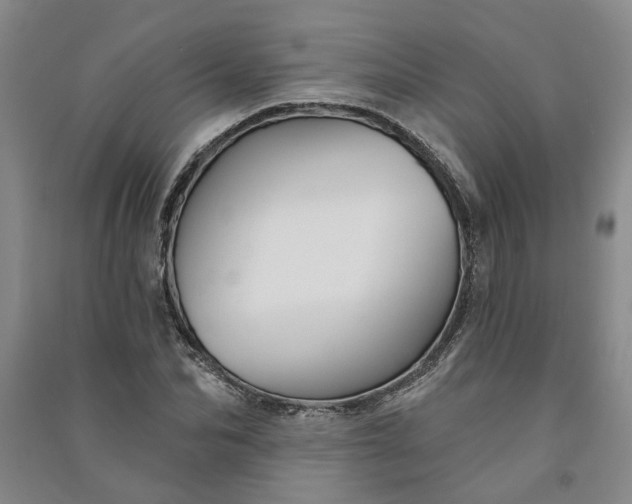 X0000090950974200708161752