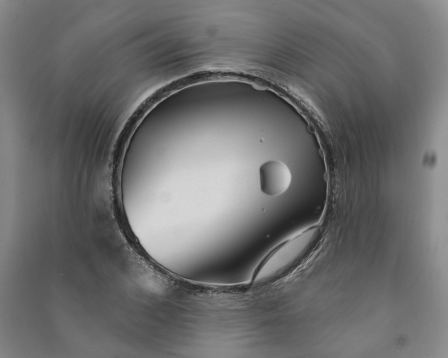 X0000090950976200708161752