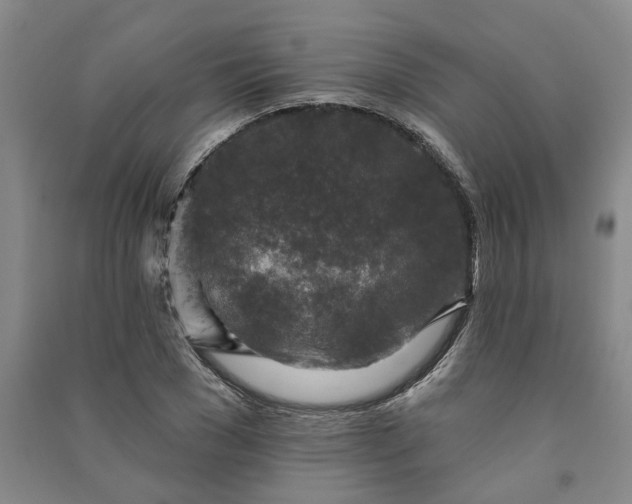 X0000090950977200708161752