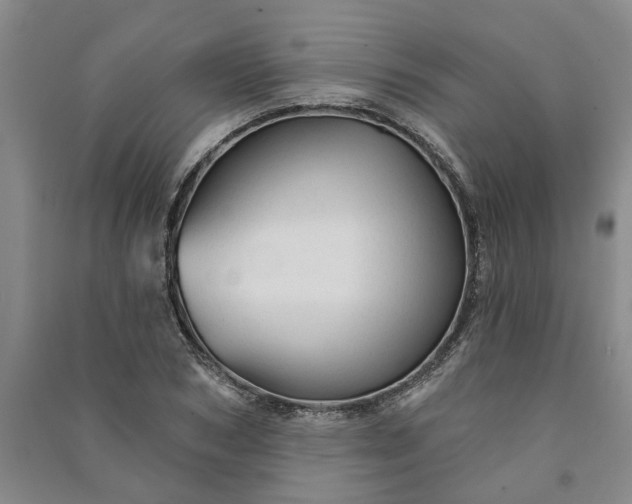 X0000090950978200708161752