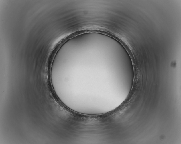 X0000090950979200708161752