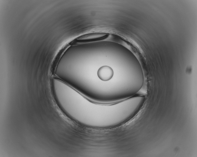 X0000090950981200708161752