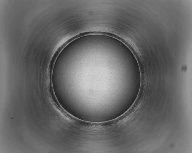 X0000090950982200708161752
