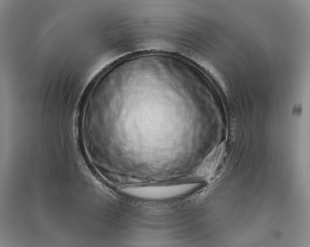 X0000090950983200708161752