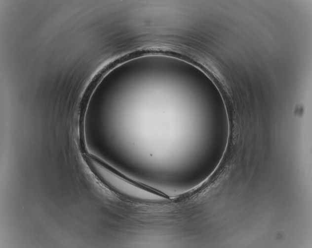X0000090950984200708161752